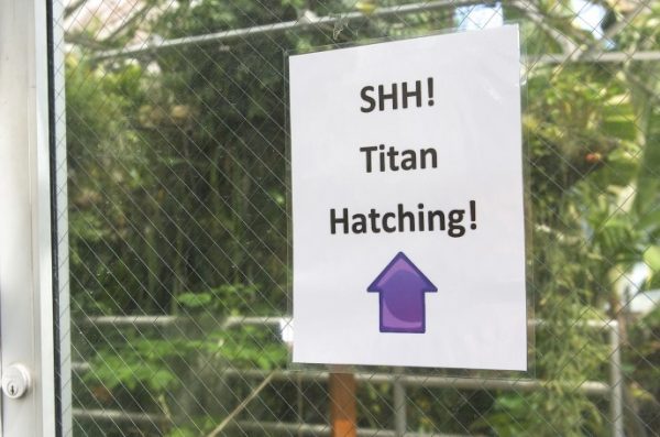 Titan Hatching sign