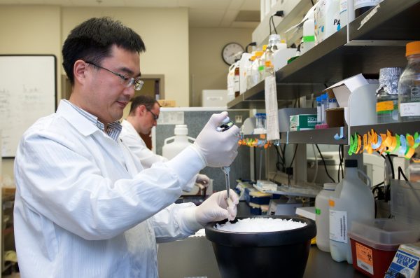 Shan Yan and Stephen Cupello in the lab