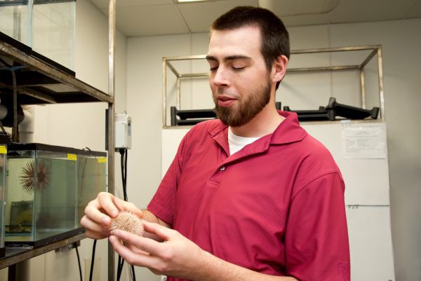 Tyler Carrier with sea urchin