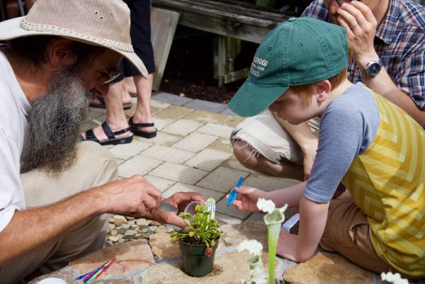 boy looking at carnivorous plant with man helping