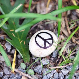 Visitors who sought solace in the Botanical Gardens found stones to leave messages, artwork, memories and prayers.