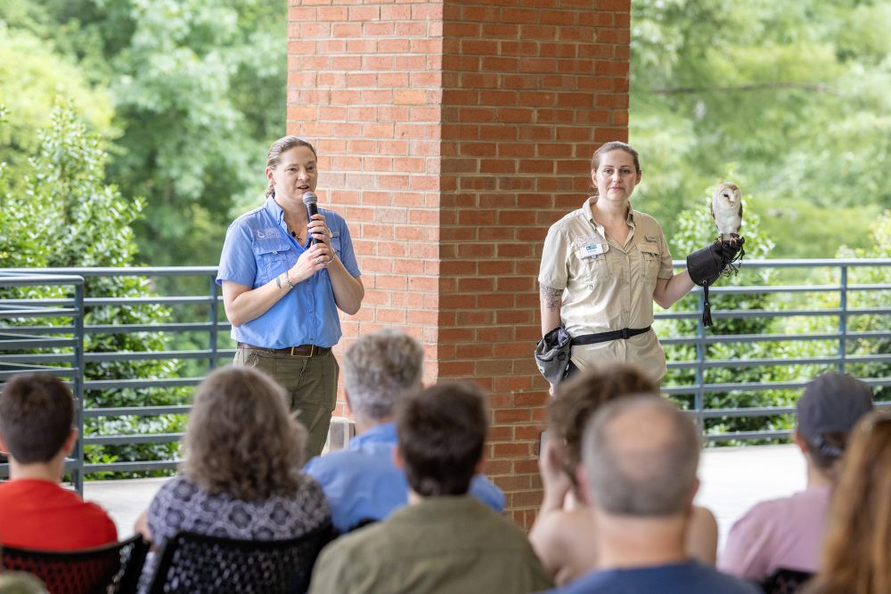 A barn owl, with white and light brown feathers, perches on a falconer's glove, while the women talk to the audience.