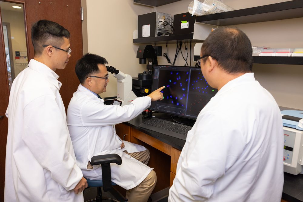 Three scientists in lab coats look at an image on the screen from the microscope.