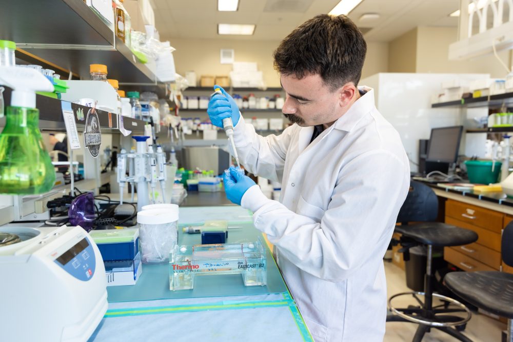 Maynard working in the lab. He is wearing a white lab coat and blue latex gloves, and holding a pipette. He is pipetting purple liquid into a vial.