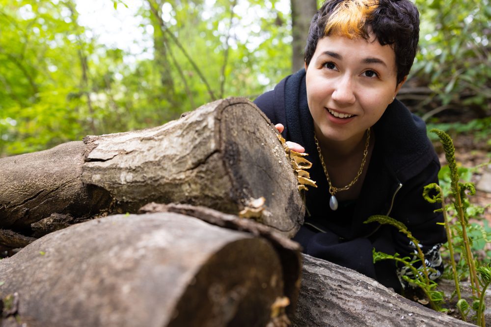 Taylor Yonemura examines some fungi growing on a downed tree.