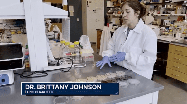 Brittany Johnson on WSOC-TV. She is standing in her lab wearing a white lab coat, with plates of bacteria in front of her.