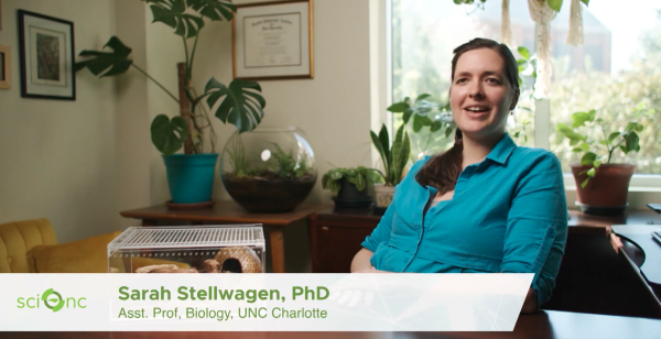 Sarah Stellwagen speaking about spider research on PBS North Carolina.