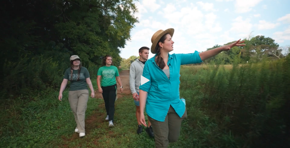 Stellwagen and students looking for spider species in the woods.