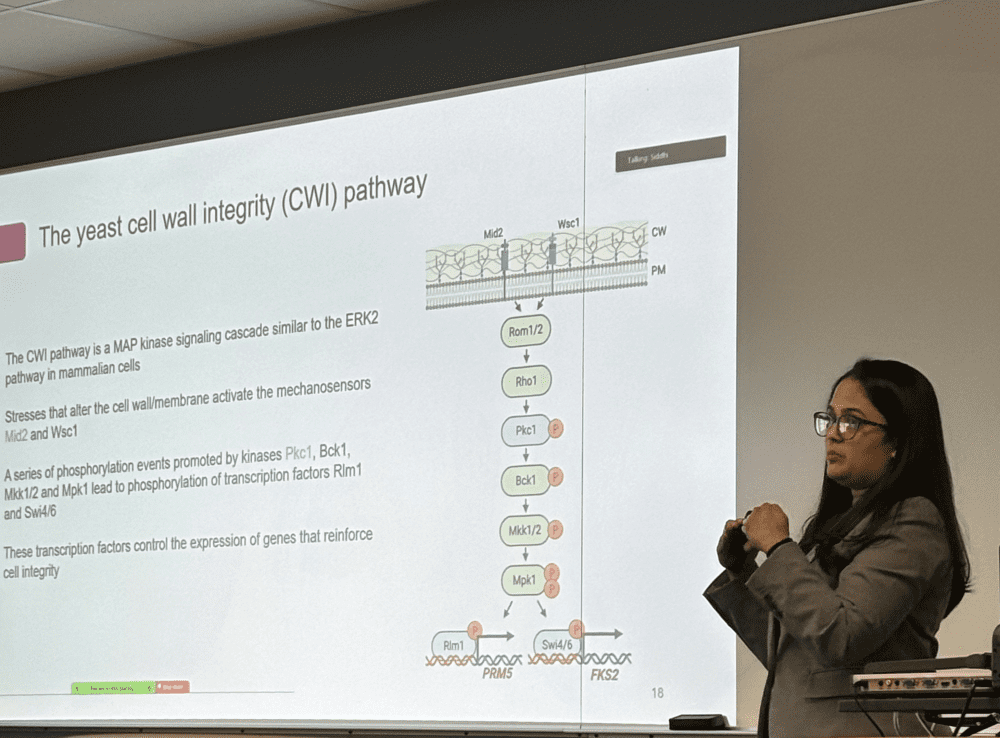Omkar presents a PowerPoint presentation of her research.
