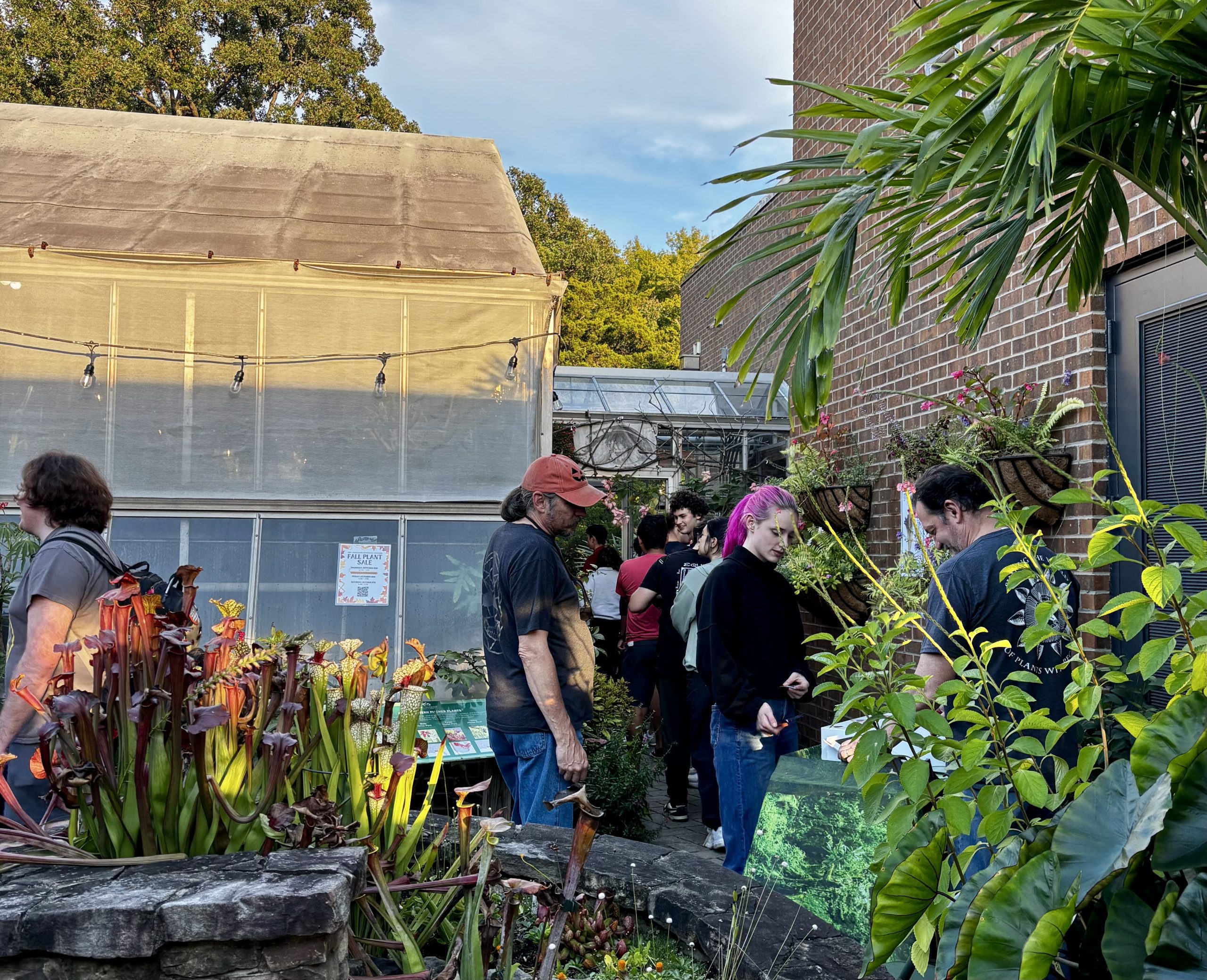 UNC Charlotte’s Botanical Gardens declared an ‘absolute must see’ by ...