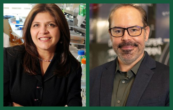 Pinku Mukherjee and Matthew Parrow